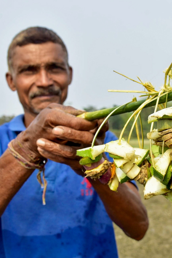 Bohag-Bihu-15.jpg 16