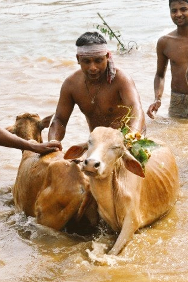 Bohag-Bihu-4.jpg 5