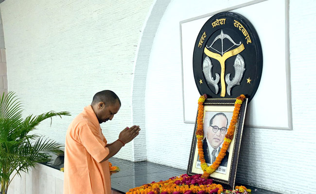 yogi.jpg