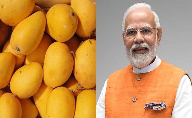 modi_20mango.jpg