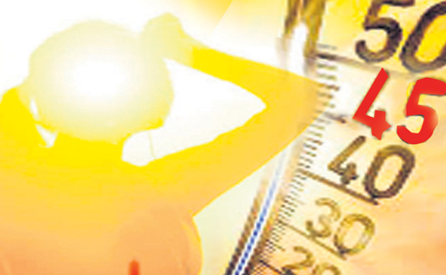 sun.jpg