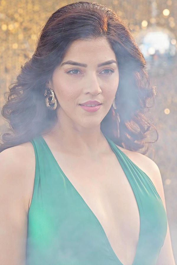 Mehreen_20Pirzada_20looks_20gorgeous_20in_20a_20bikini_20Photos_20_2816_29.jpg 4