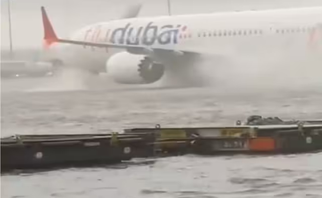 airo01.jpg