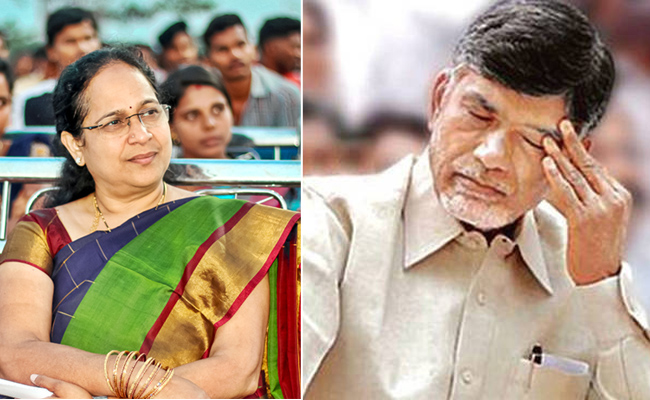 chandra-babu.jpg