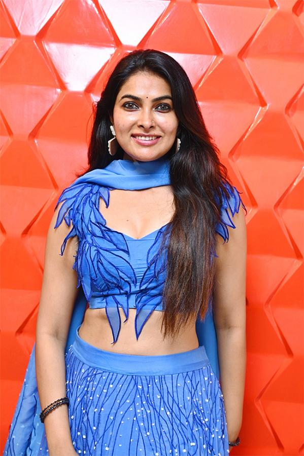 Divi_20Vadthya_20at_20the_20launch_20of_20The_20Deco_20Walls-6.jpg 6