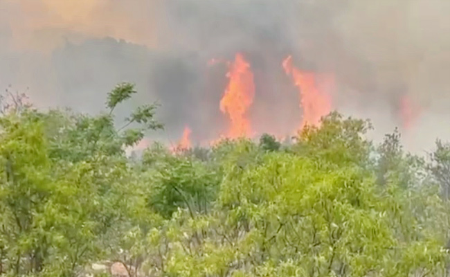 Fire1.jpg