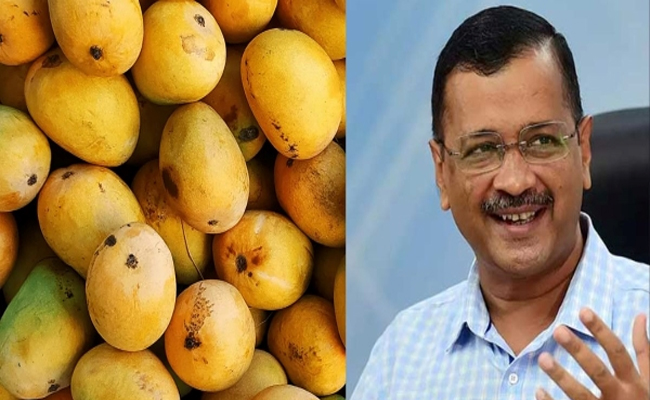 mango.jpg
