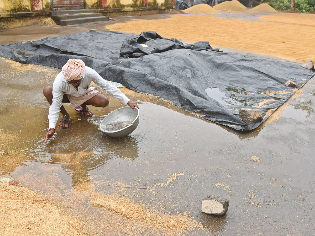 Crops_20Damage_20Due_20to_20Unexpected_20Rain_20in_20Telangana_20Photos_20_2821_29.jpg 22
