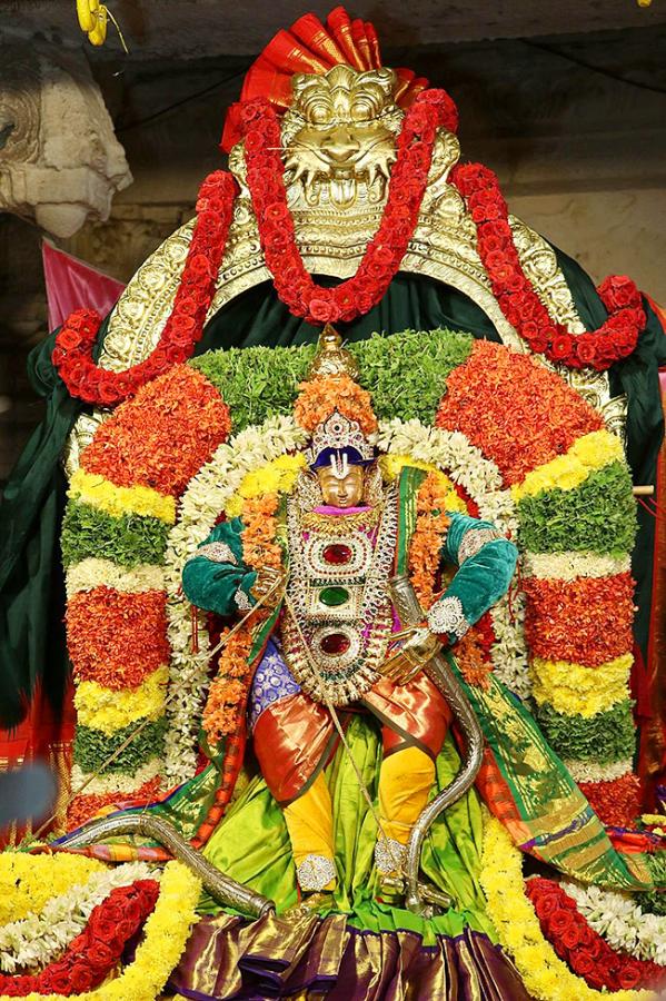 Sri_20Kodandarama_20Swamy_20Kalyanam_20Vontimitta_20Photos-9.jpg 9