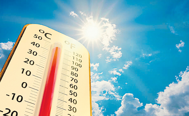 temp.jpg