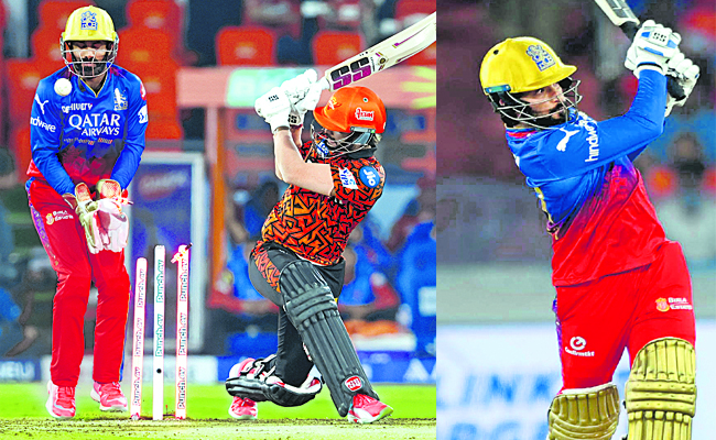 ipl_1.jpg