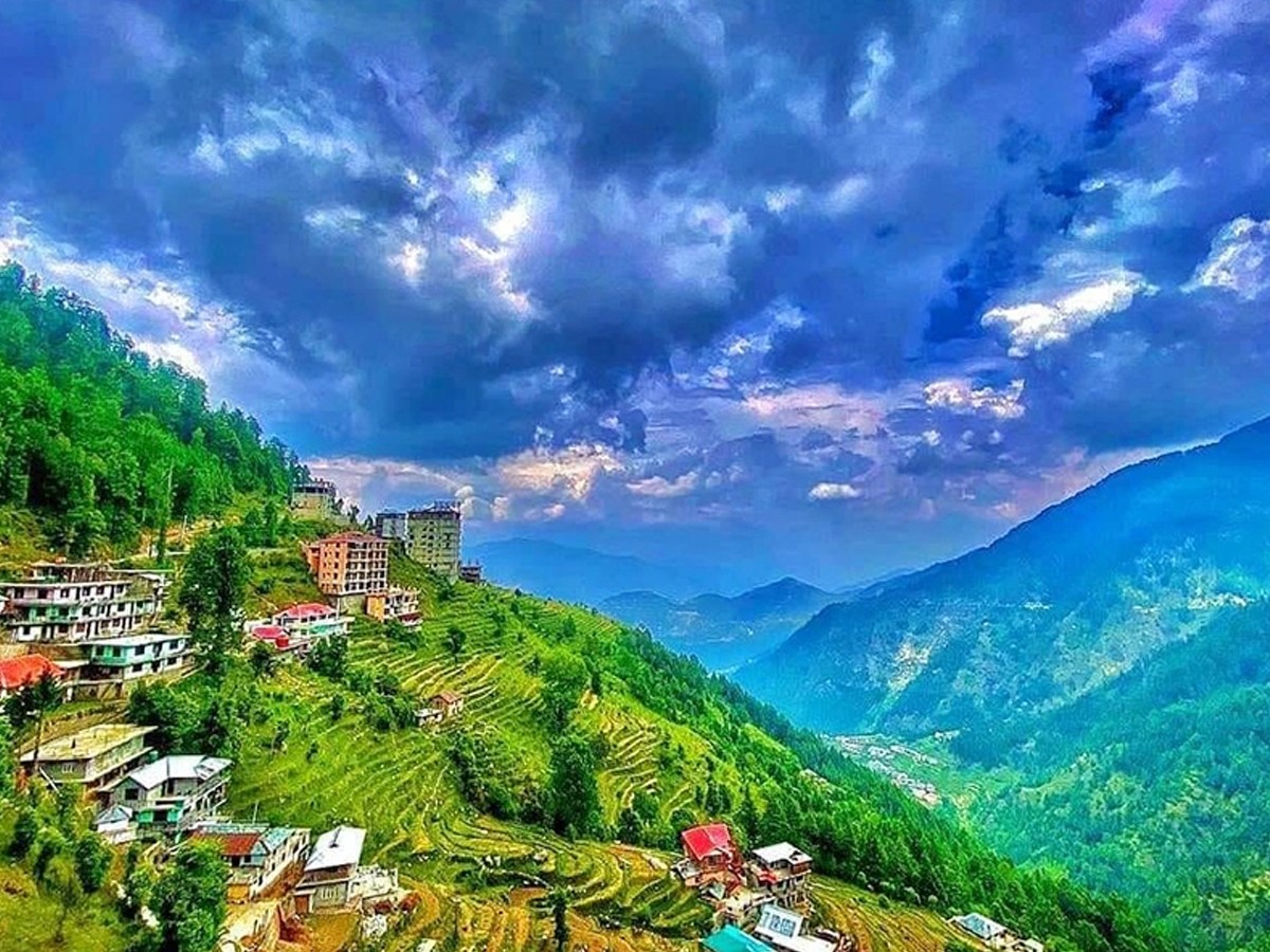 4.Dalhousie.jpg 5