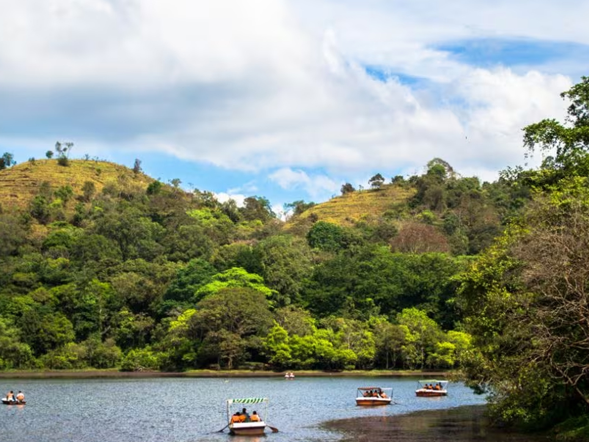 7.Wayanad.jpg 8