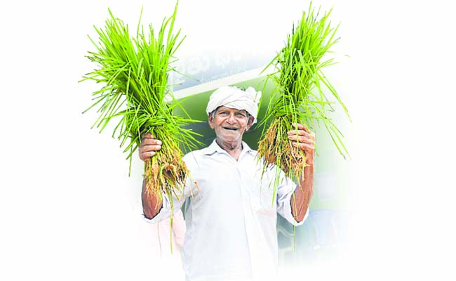 FARMER_20Cutout.jpg
