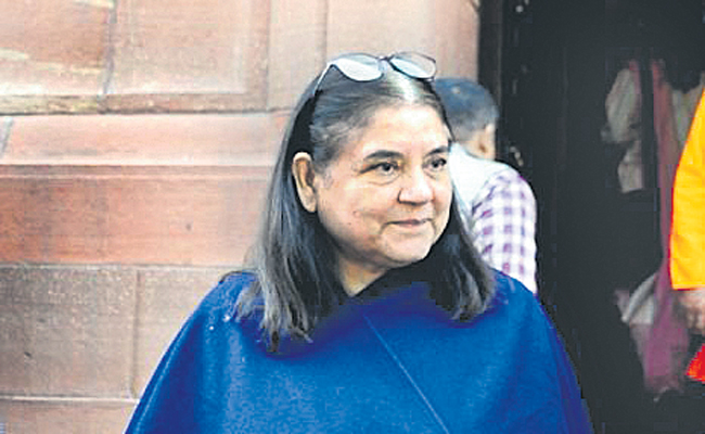 MENAKA-12.jpg