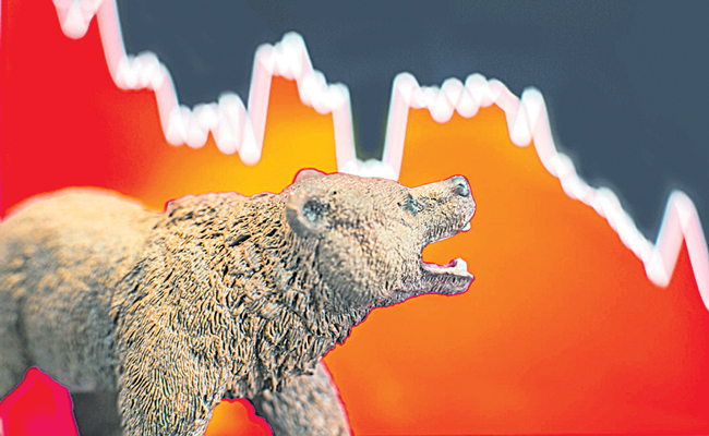 BEAR-MARKET123.jpg