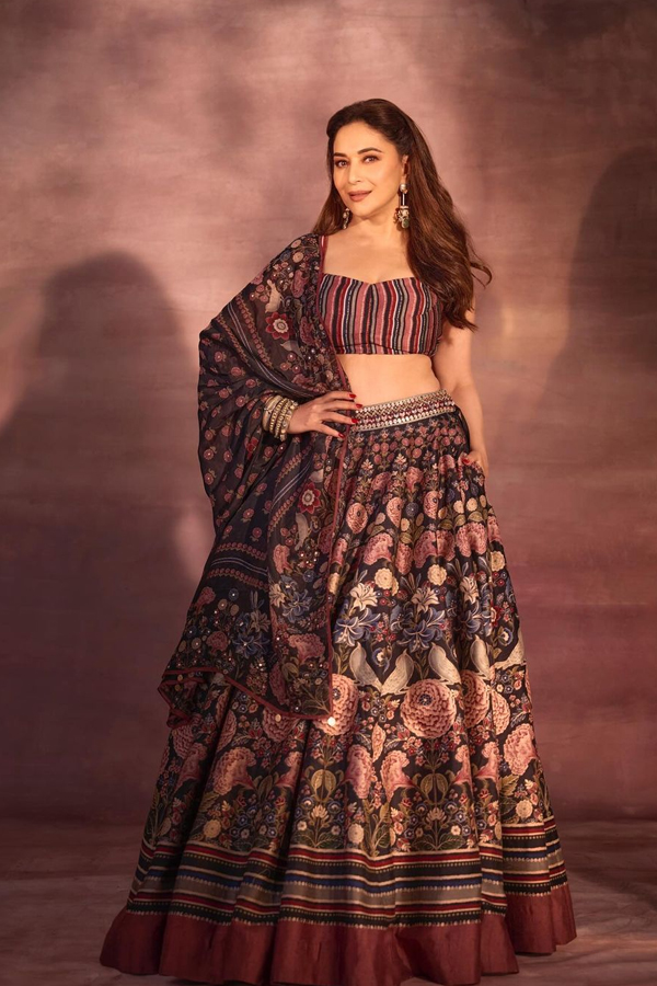 Madhuri-Dixit-2.jpg 3