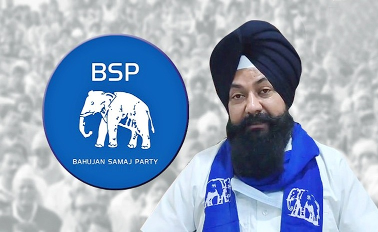 bsp-mp-candidate.jpg