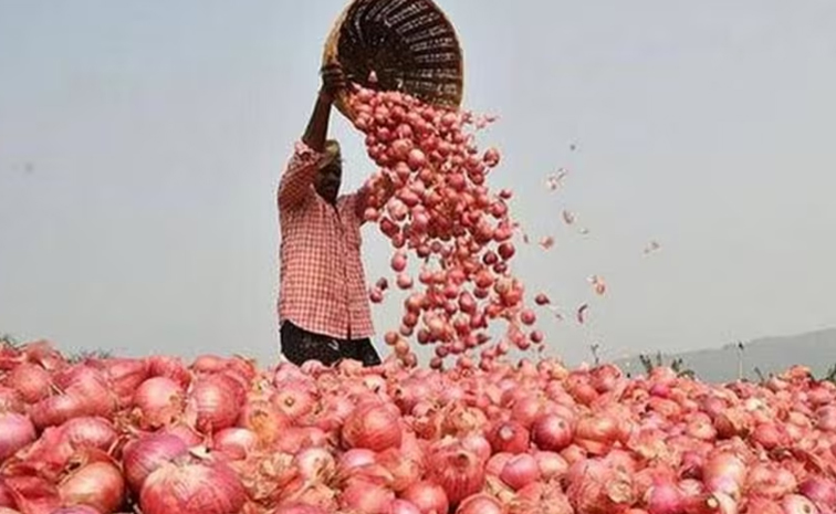onion.jpg