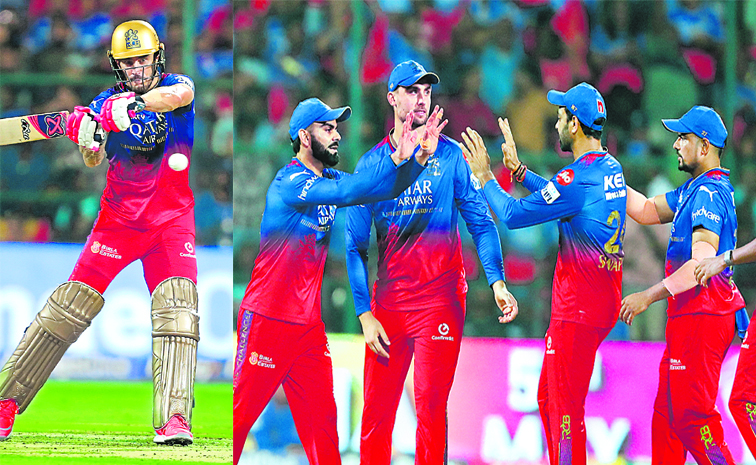 rcb_2.jpg