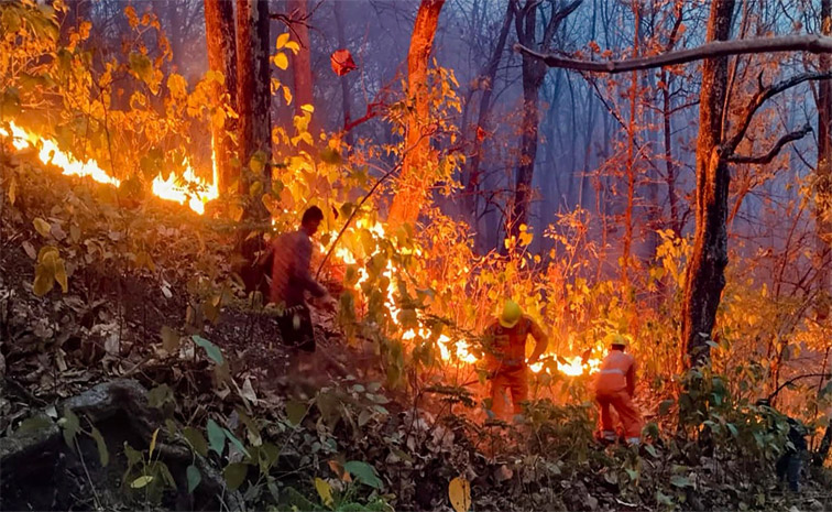 uttarakhand.jpg