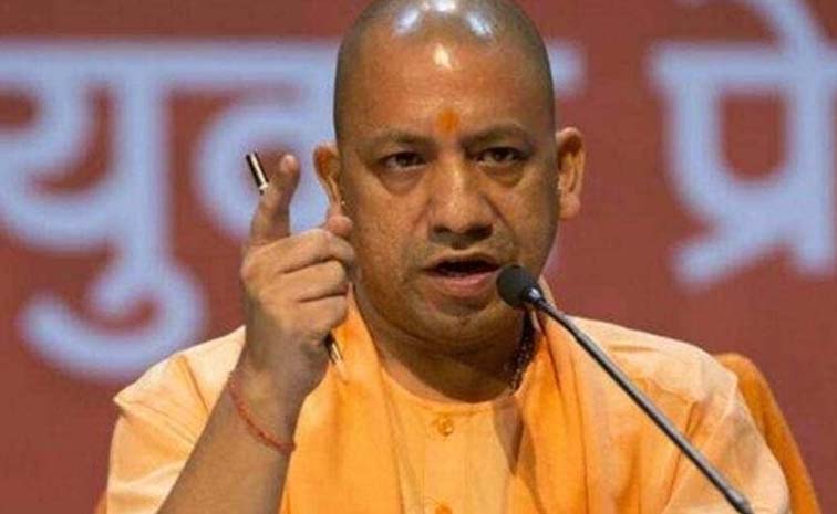 yogi1.jpg