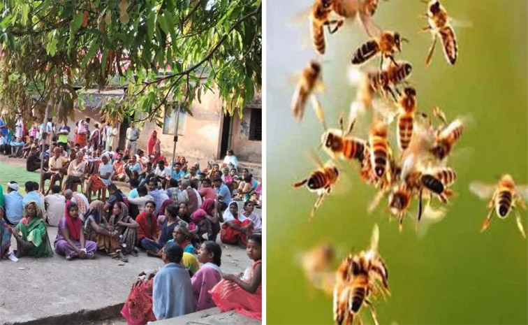 bees.jpg