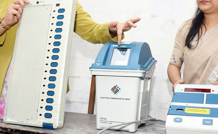 AP_Voters_2024.jpg