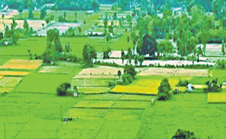 LAND-1_0.jpg