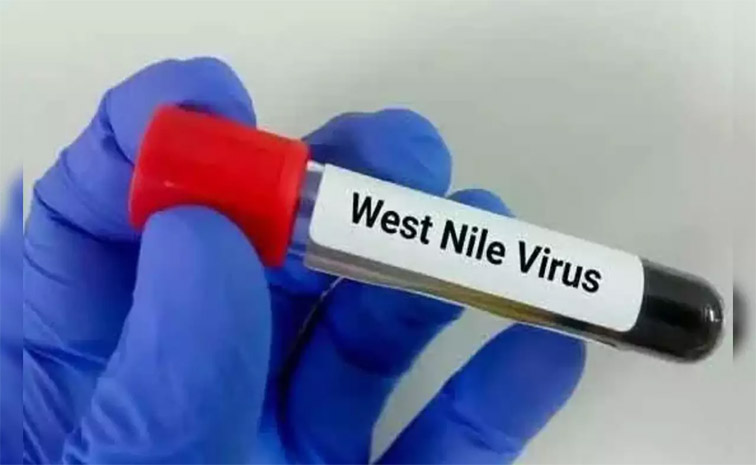 west-nile.jpg