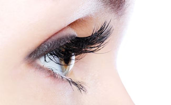 Artificial-Eye-Lashes.jpg
