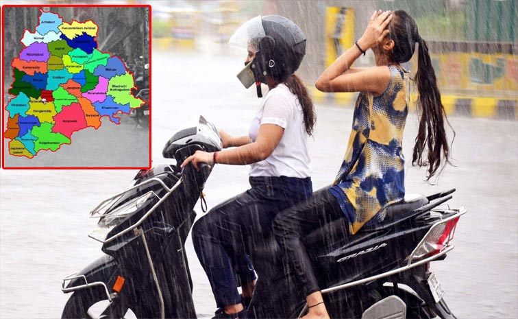 TS-Rains.jpg