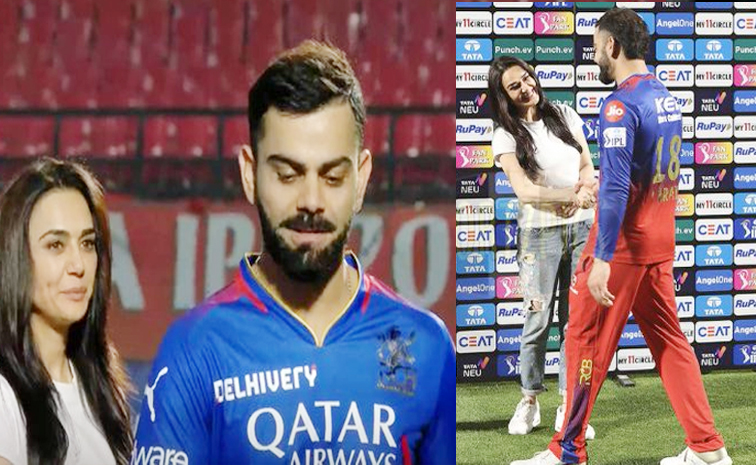 ipl_4.jpg