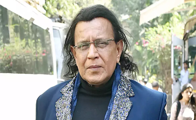 mithun.jpg