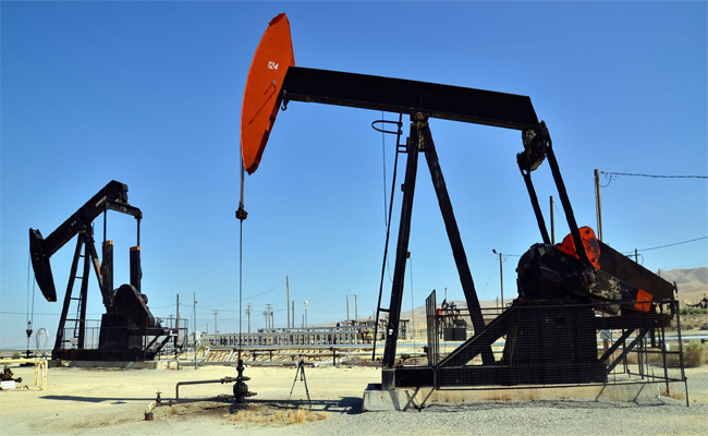 oil01.jpg