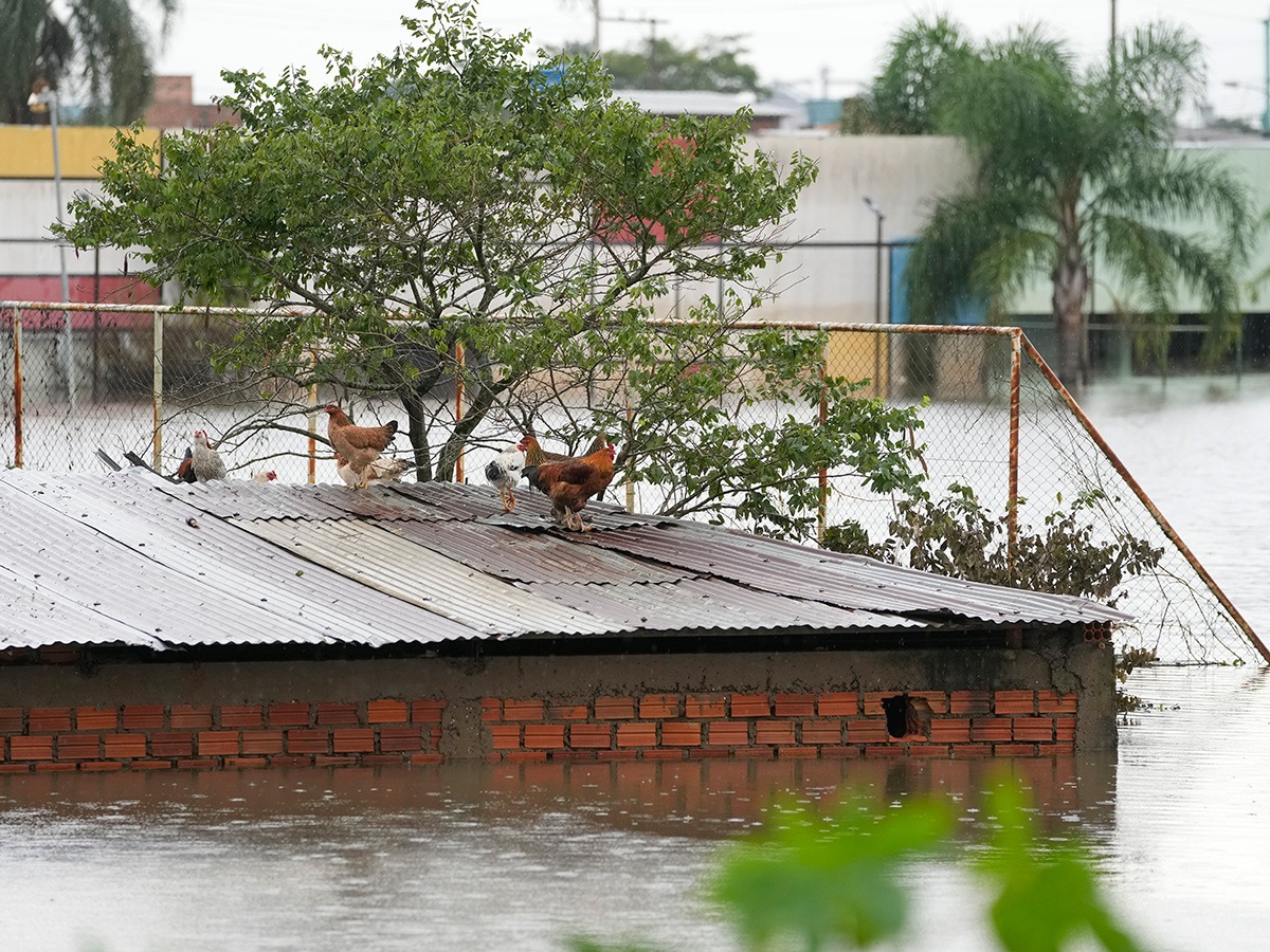 Brazil_20floods_20Hundreds_20of_20Rio_20Grande_20do_20Sul_20towns_20under_20water_20Photos-_20_2837_29.jpg 37