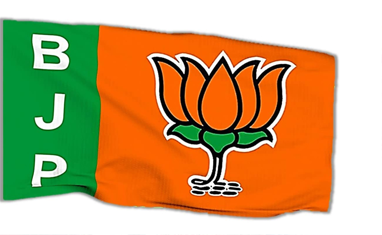 bjp_4.jpg