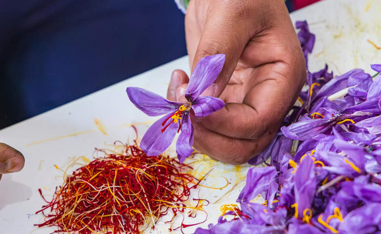 india-saffron.jpg