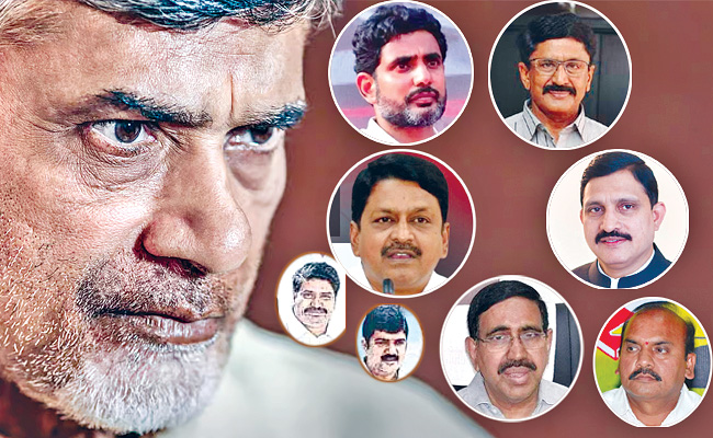 tdp_3.jpg