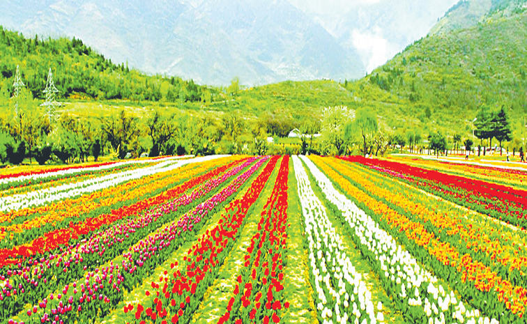 GARDEN.jpg