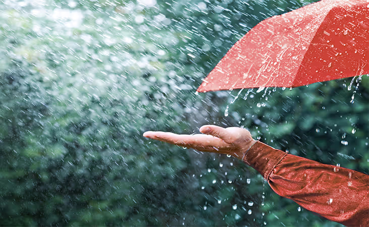 rain_0.jpg