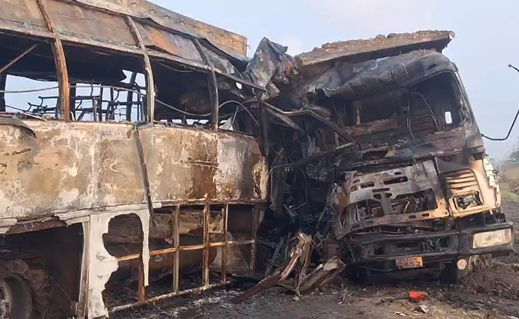 Bus.jpg