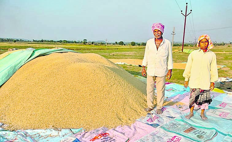 DHANYAM-1.jpg