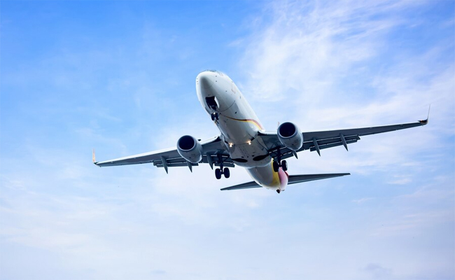 indigo01.jpg