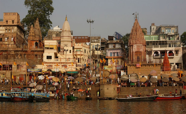 kashi.jpg