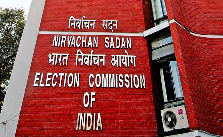 ec1.jpg