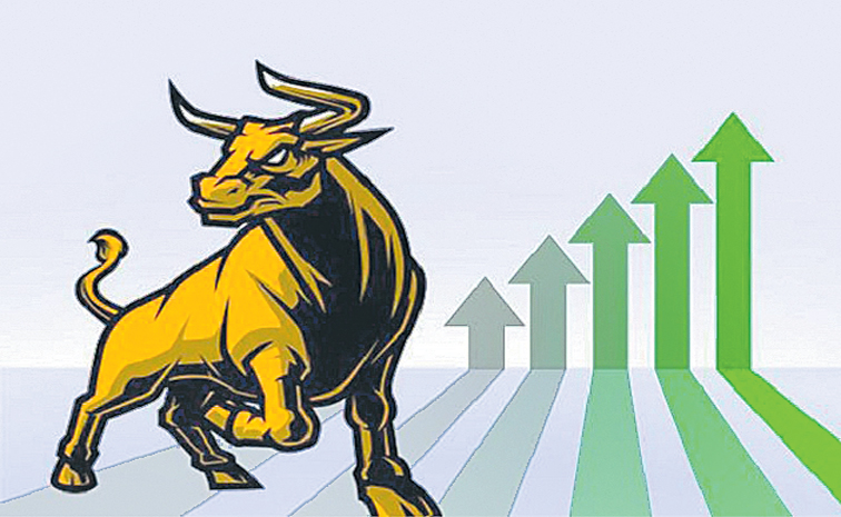 BULL-IS-BACK.jpg