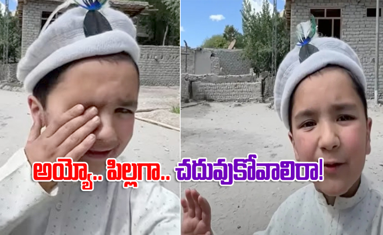 boy1.jpg
