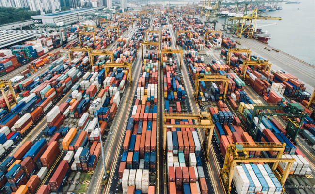 export01.jpg