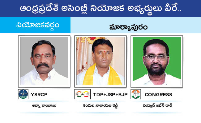 AP_20MLA_20GALLERY_01109.jpg 106